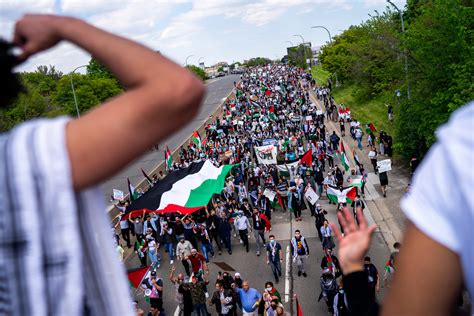 university of michigan palestine protest