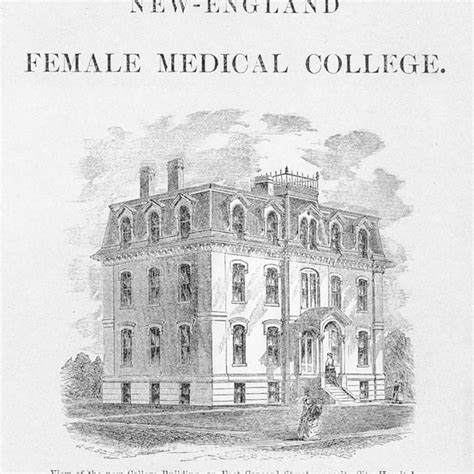 university of new england medical library