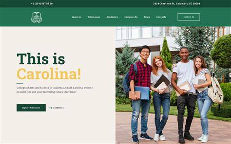 University Websites
