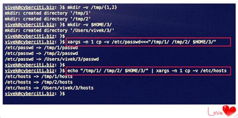 unix command to copy multiple files into a directory