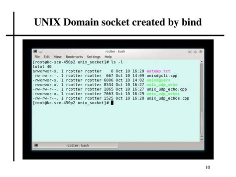 Unix Domain Socket Client Example