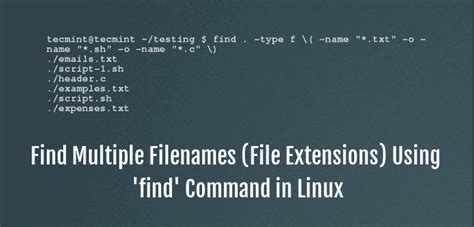 Unix Find Multiple File Name Patterns