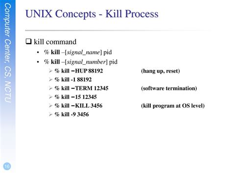 Unix Terminal Kill Process