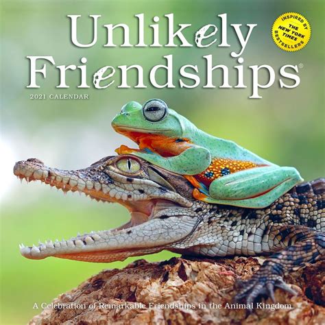 unlikely friendships 2024 calendar