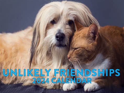 unlikely friendships calendar 2024 uk