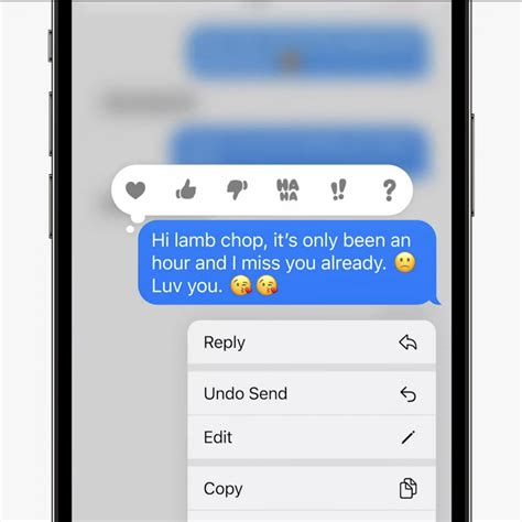 Unsend Message To Elizabeth