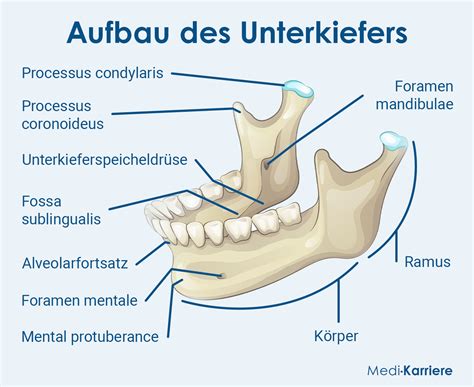 VorherNachher Erwachsene Dr. Bianca Mertens Lippstadt Kieferorthopädie