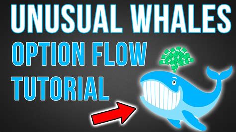 unusual whales options flow