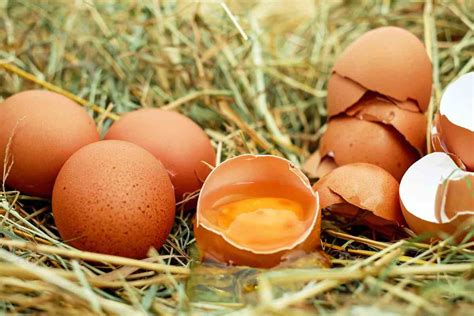 Mangiare uova scadute Come evitare i rischi e mangiare
