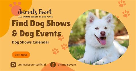 upcoming dog shows near me 2021