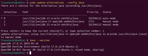 Update Alternatives Set Java