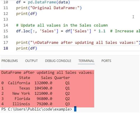update column values in dataframe python