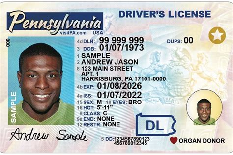 update drivers license