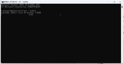 update the wsl kernel by running docker