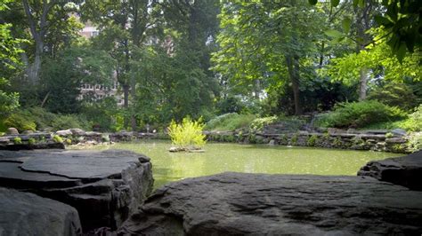 UPenn Biopond Exploration