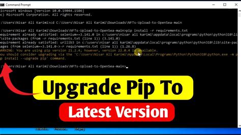 upgrade pip offline