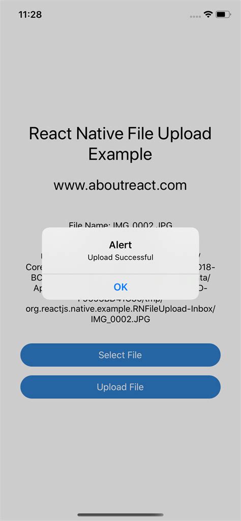 Upload Pdf File In React Native