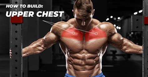 Upper Chest Calisthenics: Building A Strong And Sculpted Upper Chest In 2023