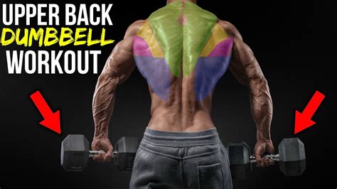 upper back back exercises with dumbbells