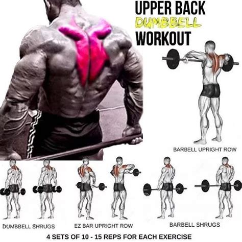 upper back exercises with dumbbells reddit