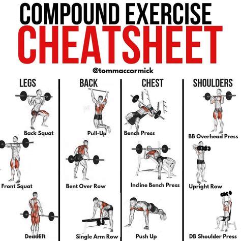 upper body compound exercises reddit