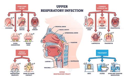 Understanding and Managing Upper Respiratory Infection: Causes, Symptoms, and Effective Treatments