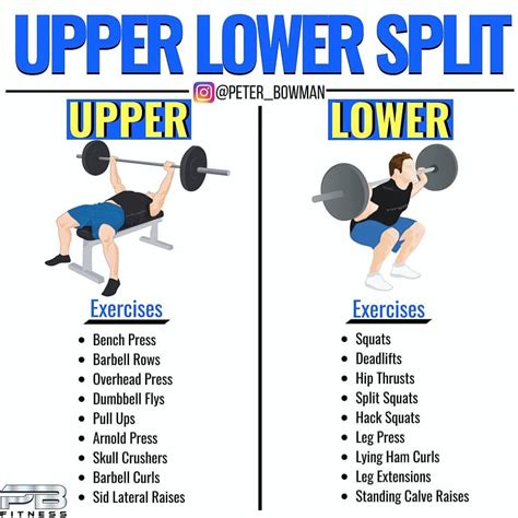 Weekly Upper And Lower Split Workout, Exercise Routine With Dumbbells, Body Weight For Beginners