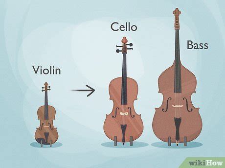 Upright Bass And Cello Difference