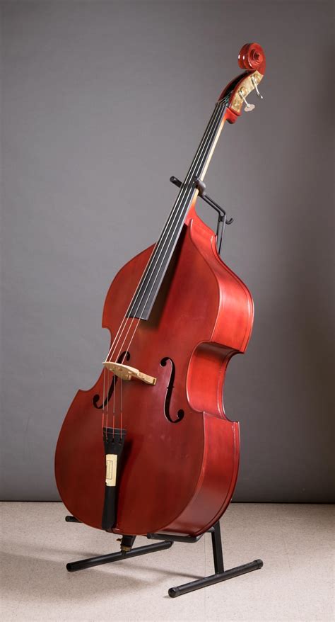 How to Play Upright Bass Step by Step Guide on How to Start Playing