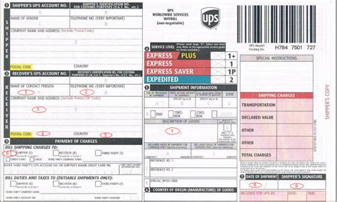 ups ltl freight tracking number