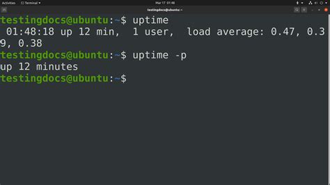 uptime command in linux man page