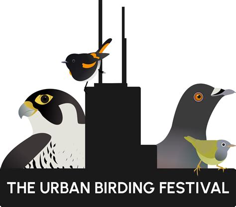 urban birding experience