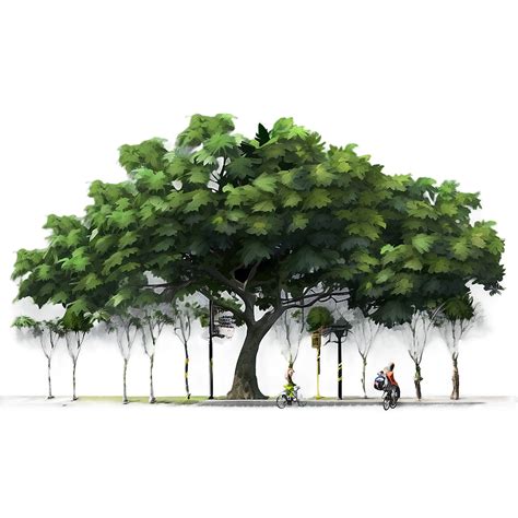 Urban Tree Wallpaper