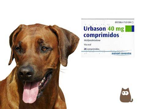 Mezcla Urbasón+Polaramine para inyecciones IM TRAUMATRUCOS