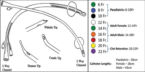 urethral catheter sizes