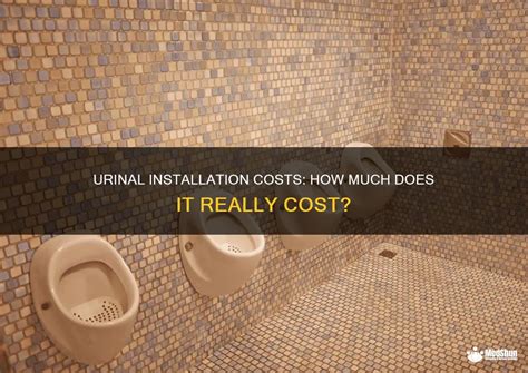 Urinal Installation Cost