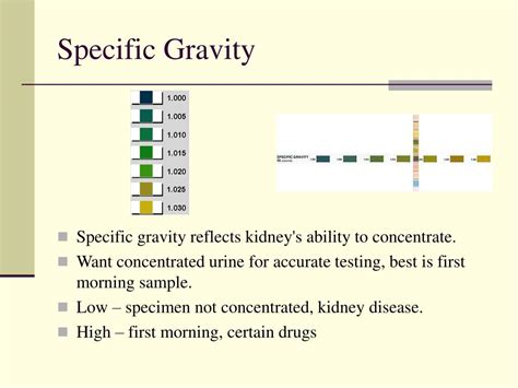 Urinalysis Gravity