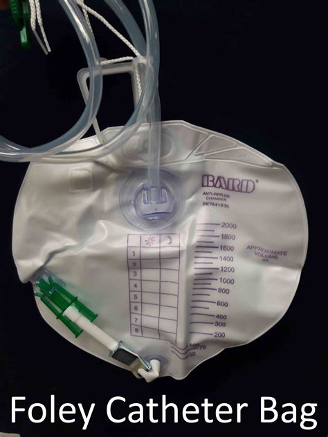 urinary catheter collection bag