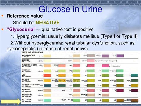 Urine Glucose Range