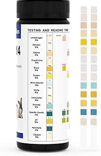 Urine Glucose Testing Dog