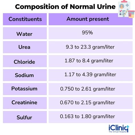 Understanding Urine Normal Level: What Your Body's Waste Can Reveal About Your Health