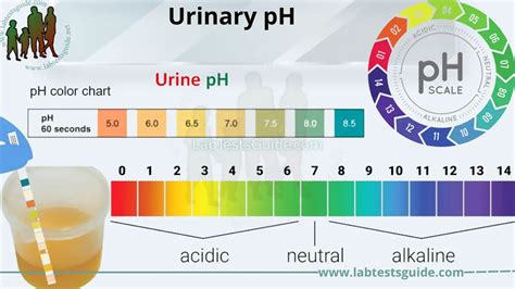 Urine Ph Test Cpt Code