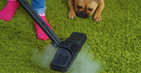 Uringeruch aus Teppich mit Natronpulver entfernen Frag Mutti