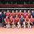 us men's national volleyball team