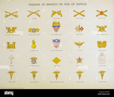 Infantry Branch Insignia USAMM
