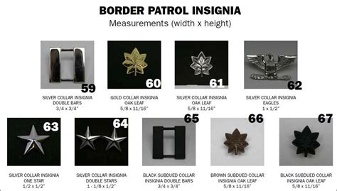 us border patrol ranks