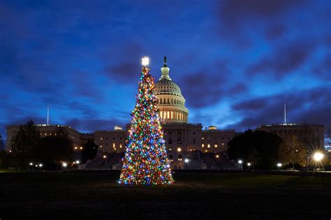 us capitol christmas tree lighting 2023
