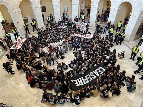 us capitol palestinian protest