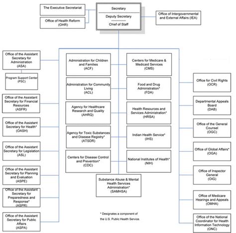 us dhhs org chart