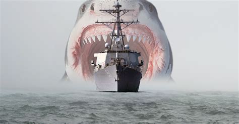 us navy ship shark attack